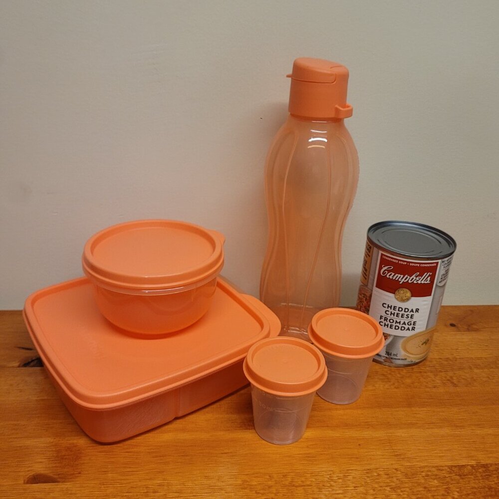 Tupperware School Lunch Set - Coral